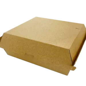 Brown Kraft Dinner Box