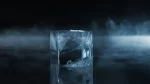 Hoshizaki cube ice machine